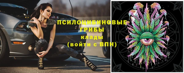 меф Протвино
